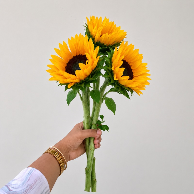 Sunflowers